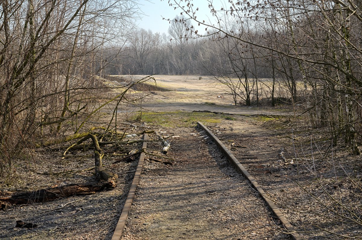 Abandoned Hopper Terminal 02 backplate