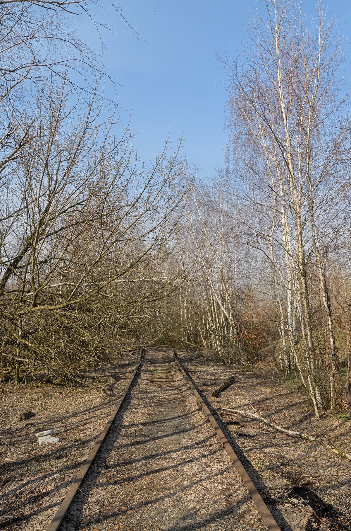 Abandoned Hopper Terminal 02 backplate