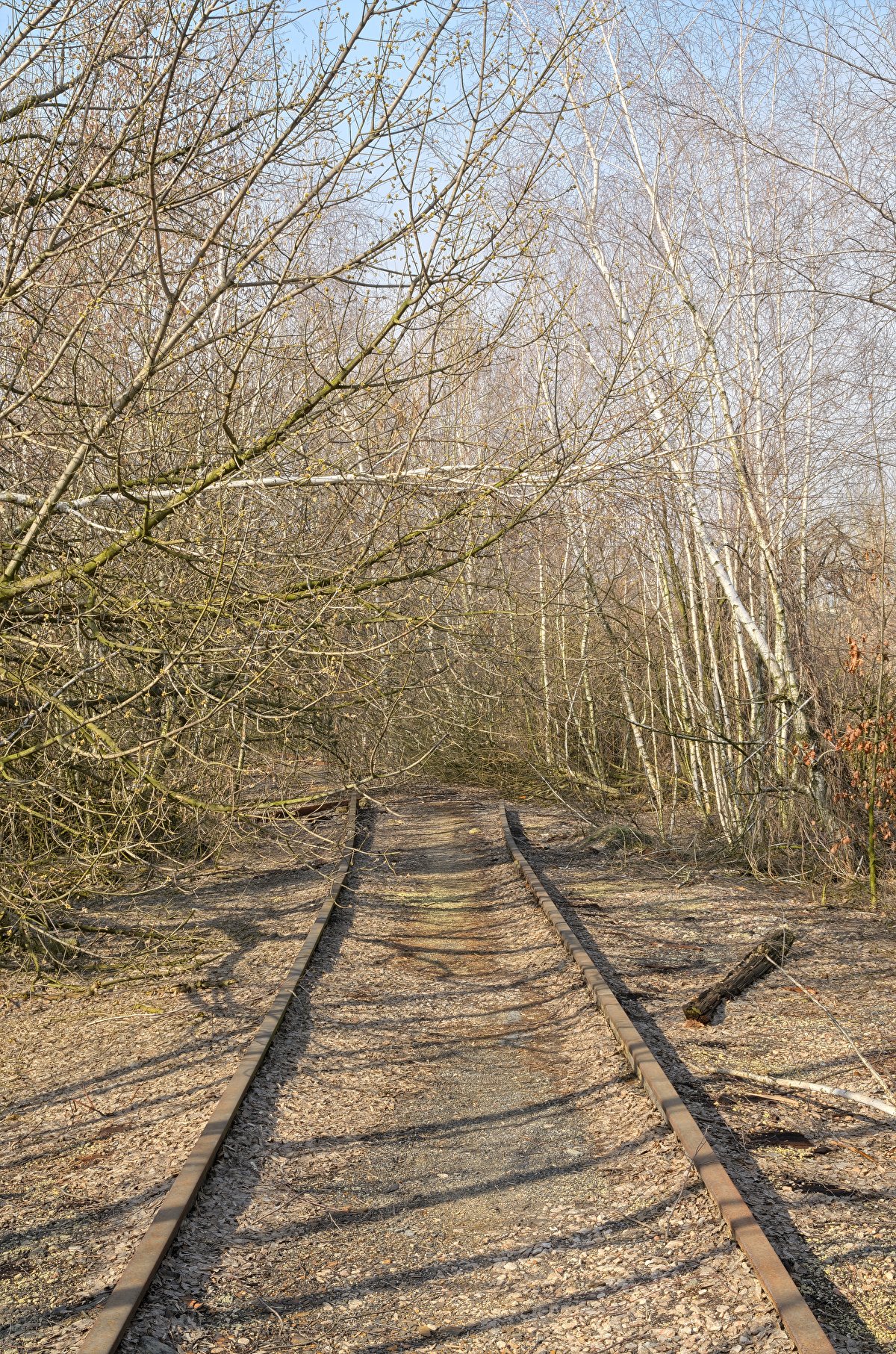 Abandoned Hopper Terminal 02 backplate