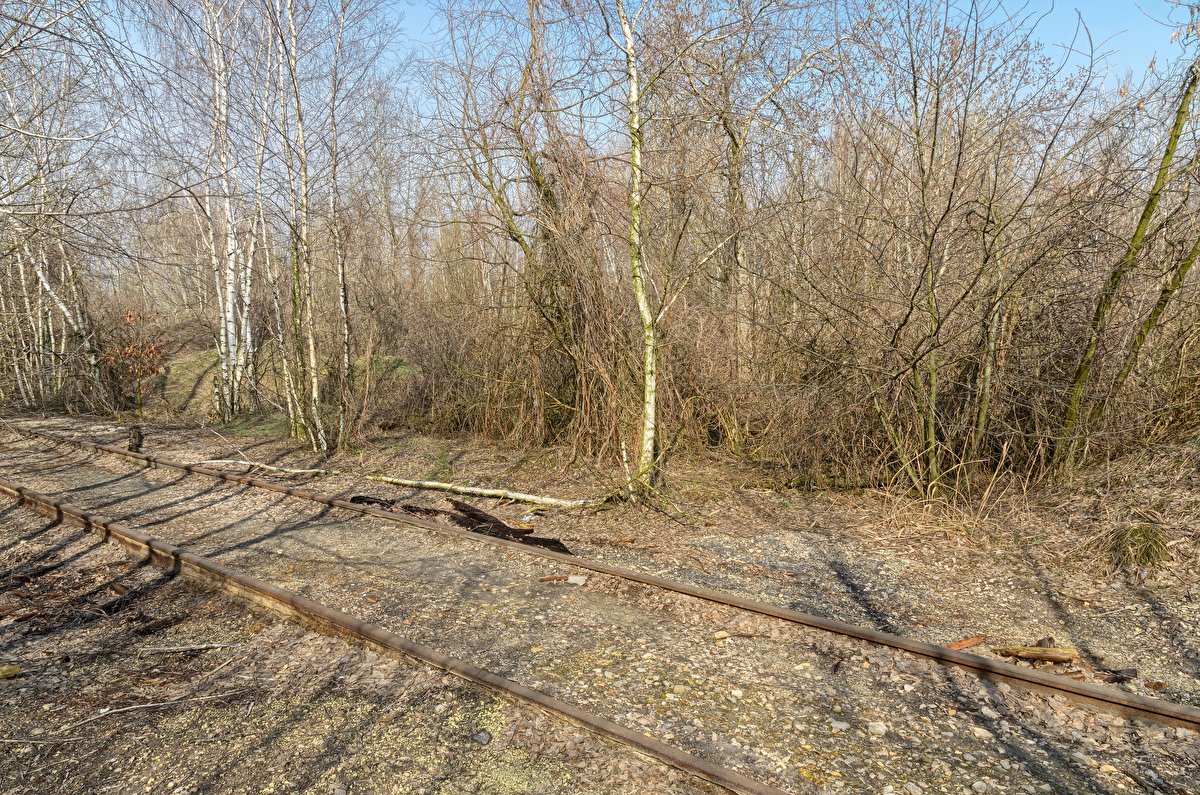 Abandoned Hopper Terminal 02 backplate