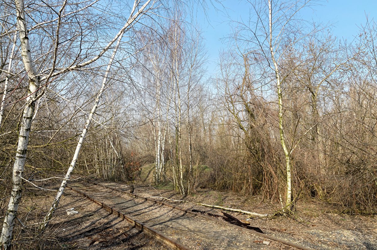 Abandoned Hopper Terminal 02 backplate