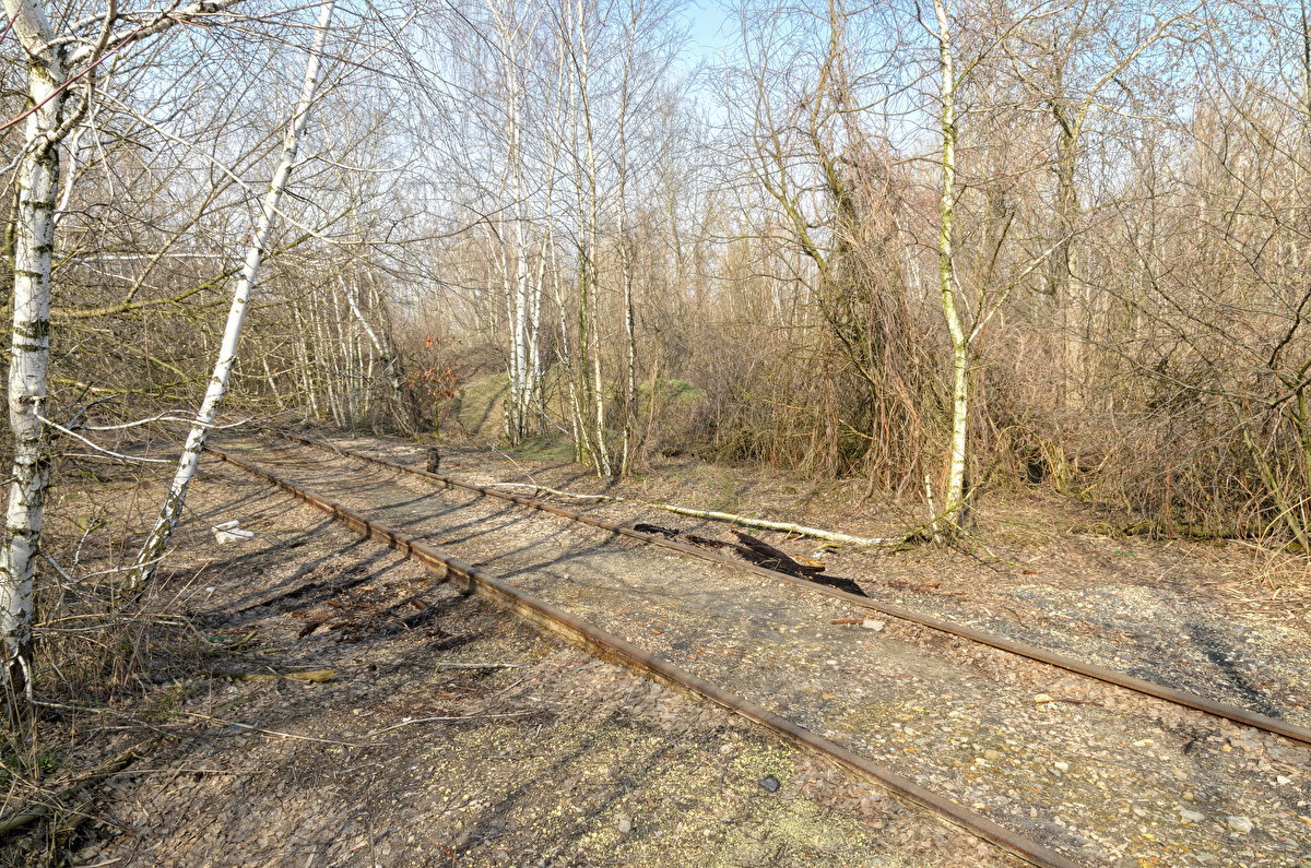 Abandoned Hopper Terminal 02 backplate