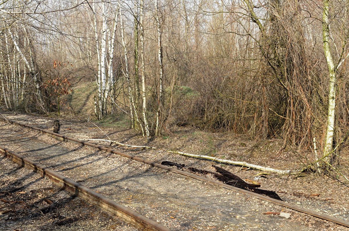 Abandoned Hopper Terminal 02 backplate
