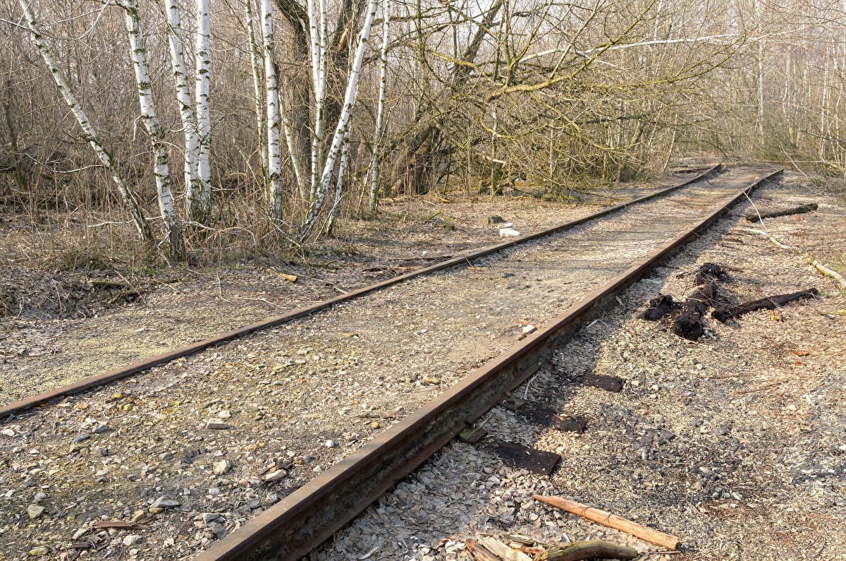 Abandoned Hopper Terminal 02 backplate