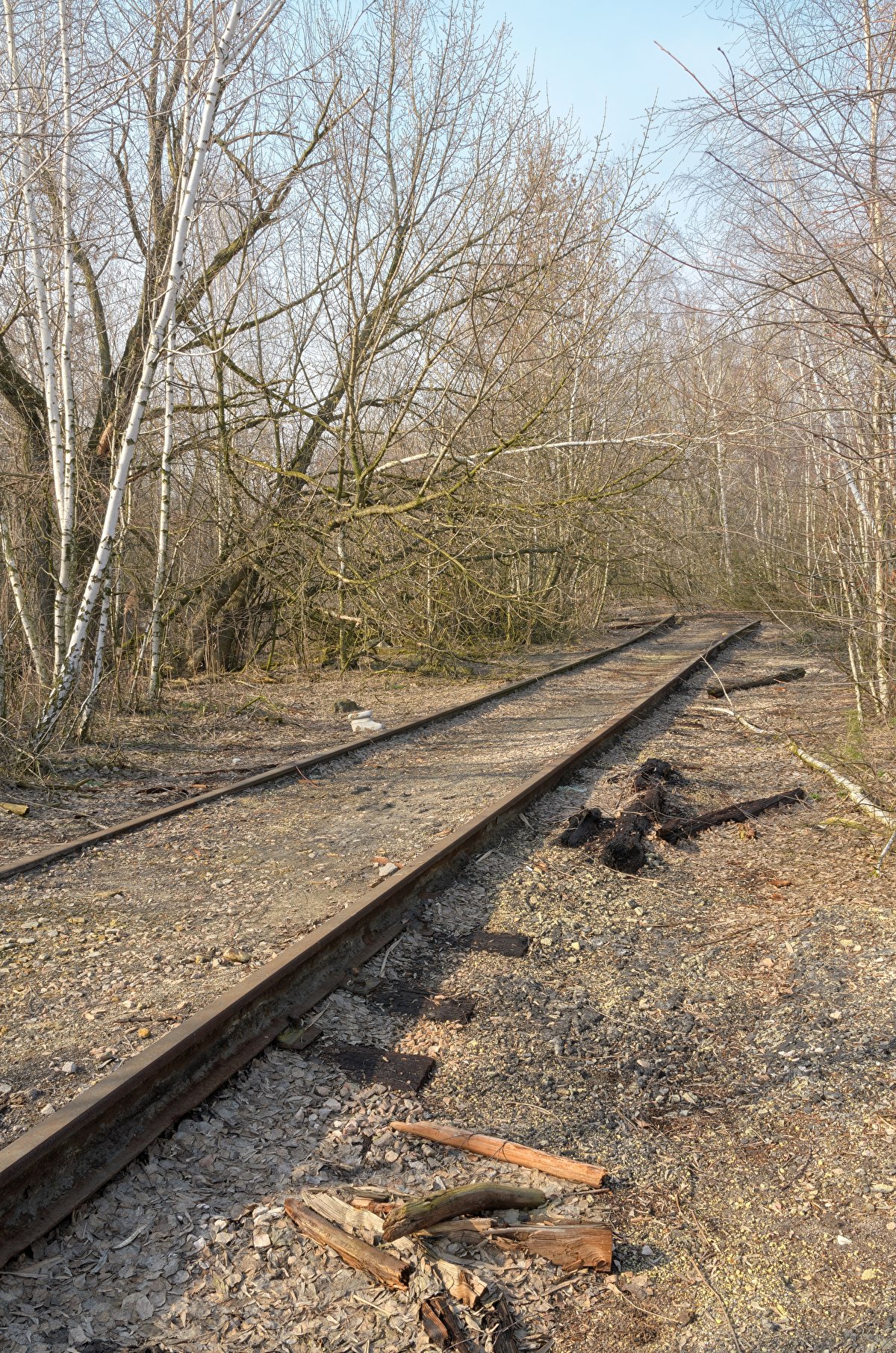 Abandoned Hopper Terminal 02 backplate