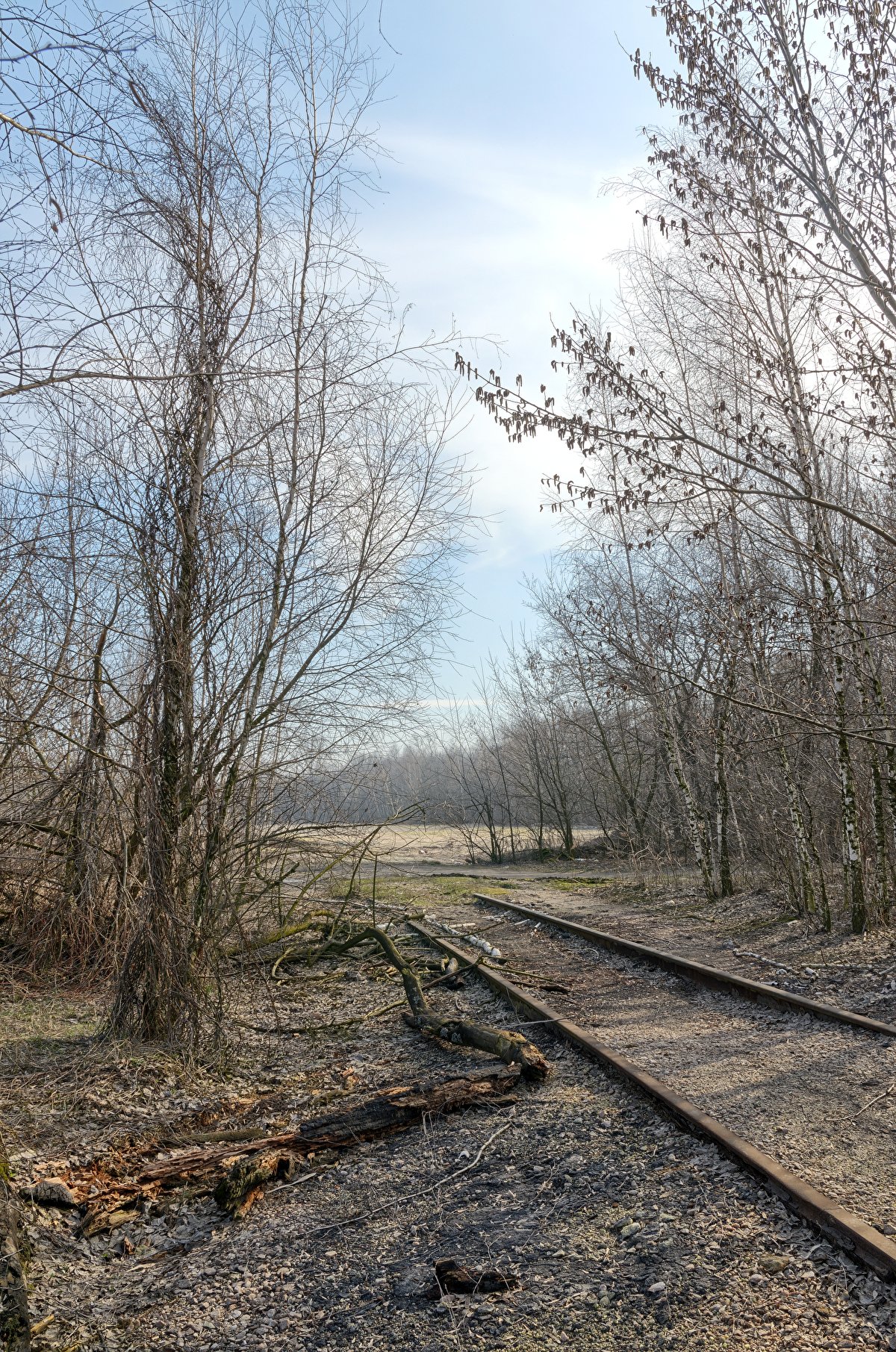 Abandoned Hopper Terminal 02 backplate