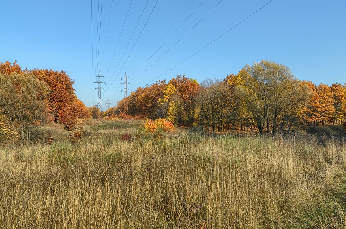 Autumn Meadow backplate