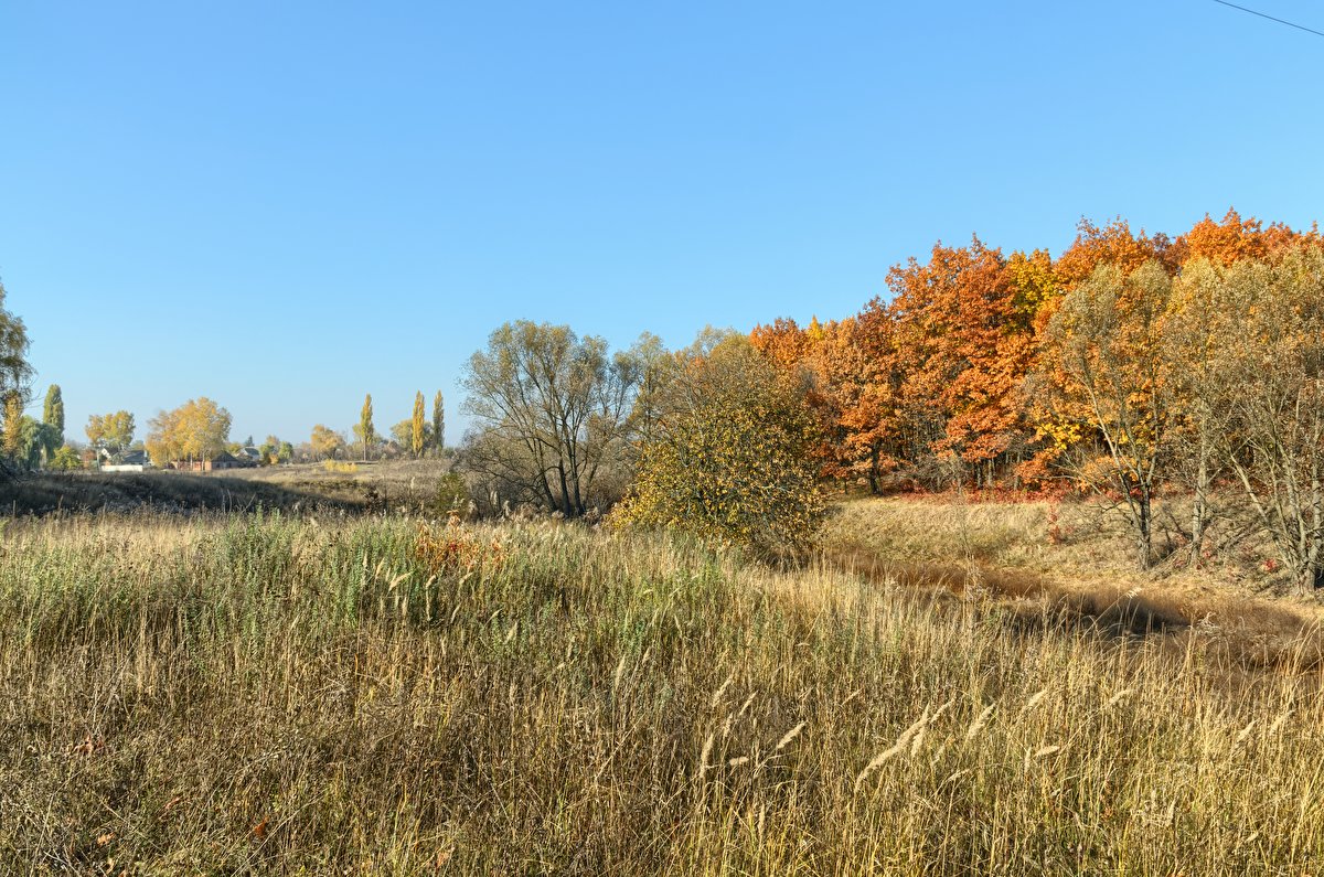 Autumn Meadow backplate