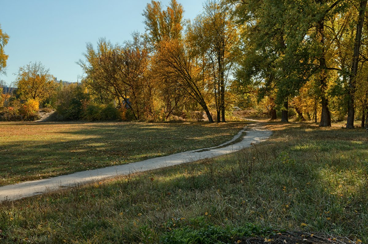 Autumn Park HDRI • Poly Haven