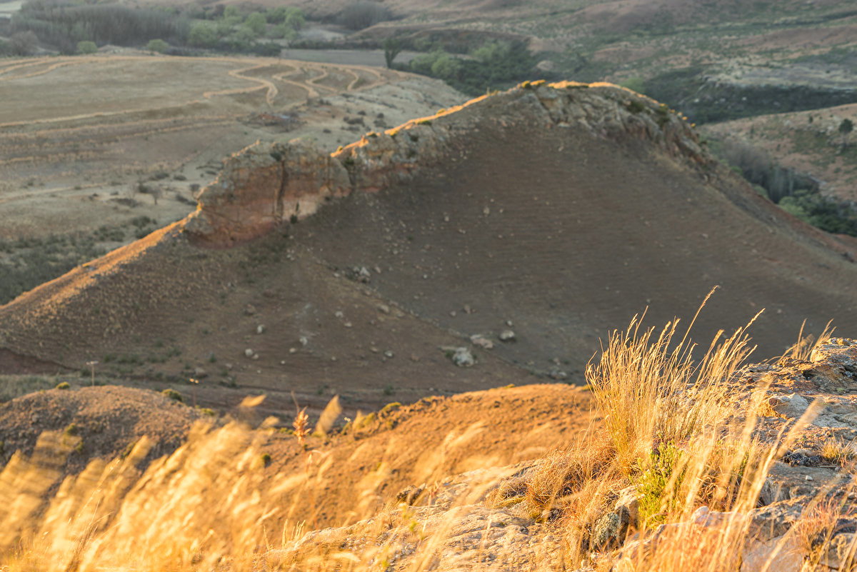 Kiara 8 Sunset backplate
