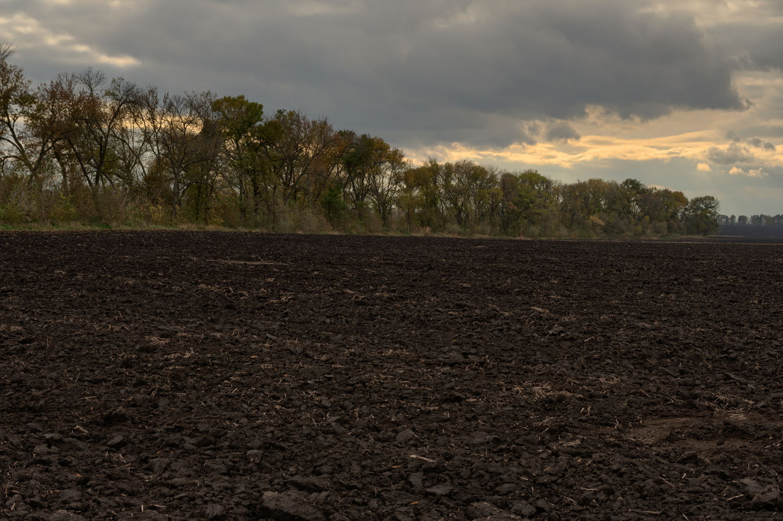 Overcast Soil 2 HDRI • Poly Haven