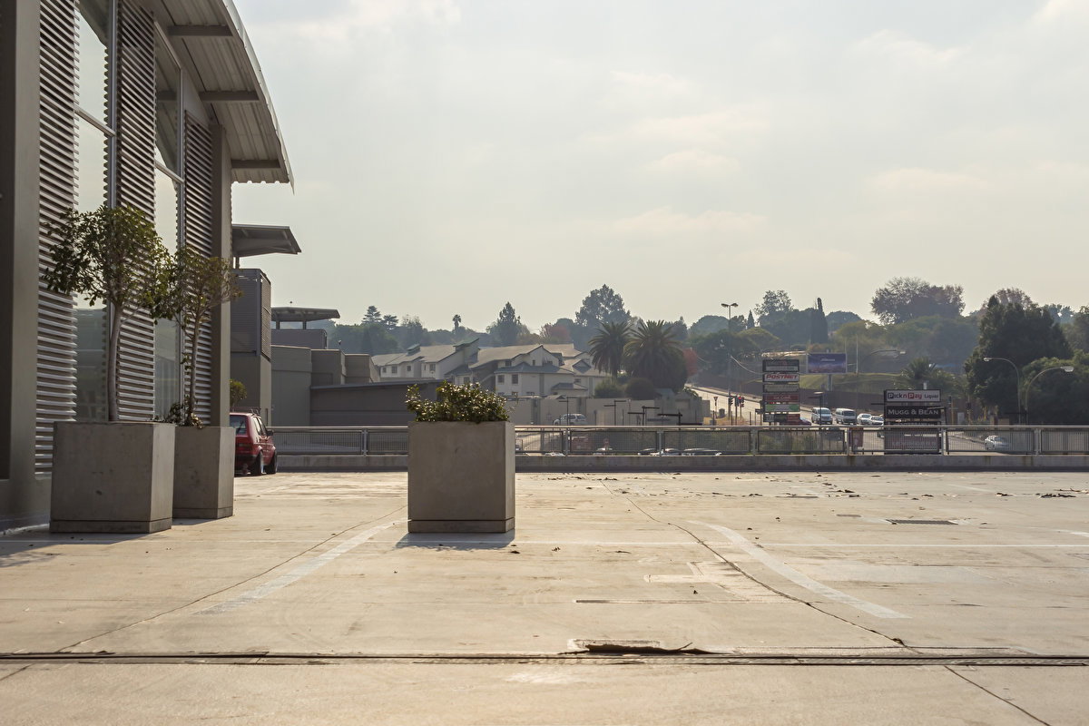 Rooftop Day backplate