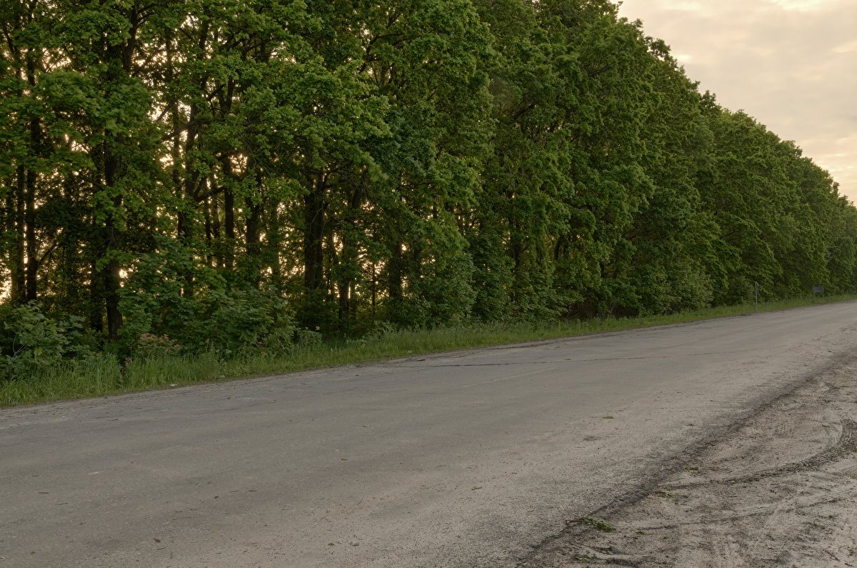 Small Rural Road 02 backplate