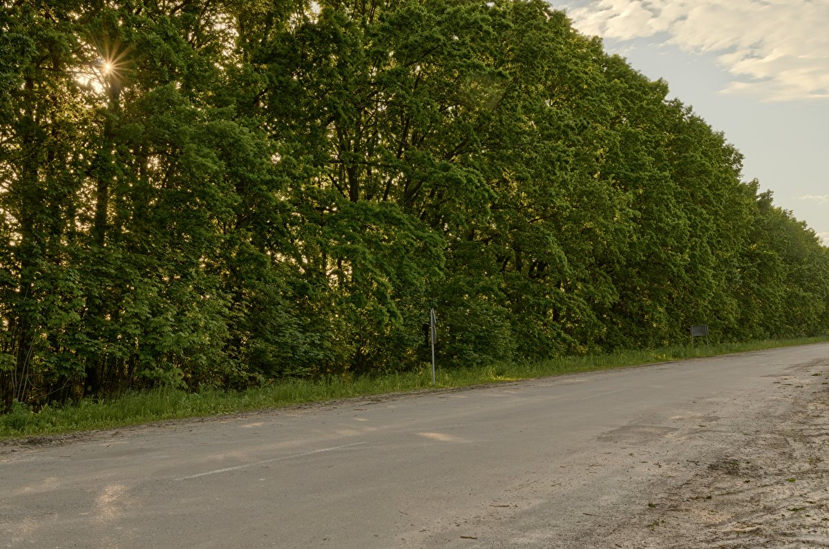 Small Rural Road 02 backplate
