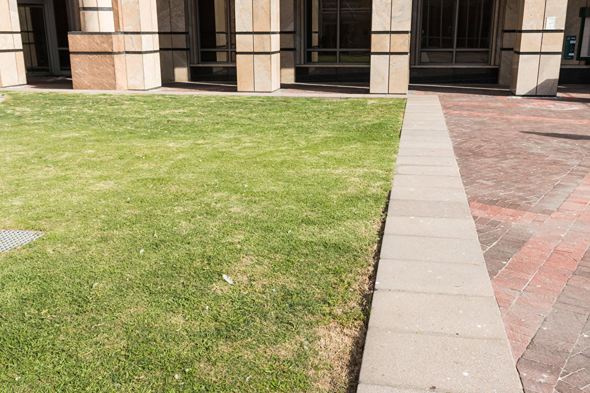 Urban Courtyard backplate