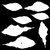 Anthurium Botany 01 - Alpha map