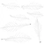 Anthurium Botany 01 - AO map