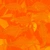 Anthurium Botany 01 - arm map