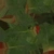 Anthurium Botany 01 - Diffuse map