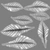 Anthurium Botany 01 - Displacement map