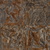 Bark Debris 01 - Diffuse map