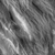 Bark Willow - Displacement map