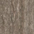 Bark Willow 02 - Diffuse map