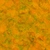 Brown Mud 03 - arm map