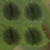 Calathea Orbifolia 01 - Diffuse map