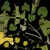 Celandine 01 - Diffuse map