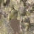 Concrete Cat Statue - Diffuse map