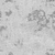 Coral Gravel - Rough map