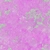 Coral Gravel - rough_ao map