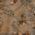 Dead Quiver Branch 01 - Diffuse map