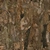 Dead Tree Trunk 02 - Diffuse map