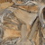 Dry Quiver Leaf - Diffuse map