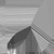 Fir Sapling - twigs_rough map