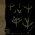 Fir Sapling Medium - twigs_diff map
