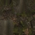 Fir Tree 01 - trunk_b_diff map