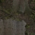 Fir Tree 01 - trunk_c_diff map