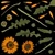 Flower Gazania - Diffuse map