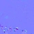 Flower Heliophila - nor_gl map