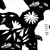 Flower Ursinia - Alpha map