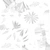 Flower Ursinia - AO map