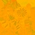 Flower Ursinia - arm map