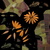 Flower Ursinia - Diffuse map