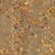 Forest Floor - Diffuse map