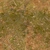 Forest Leaves 02 - Diffuse map