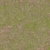 Forest Ground 01 - Diffuse map