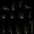 Grass Bermuda 01 - Diffuse map